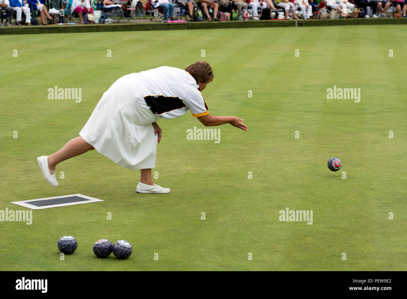 A player bowling a wood at the national women`s lawn bowls